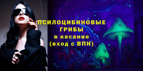 стаф Бронницы