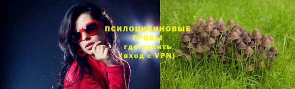 ешки Бугульма
