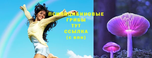 мдма Бородино