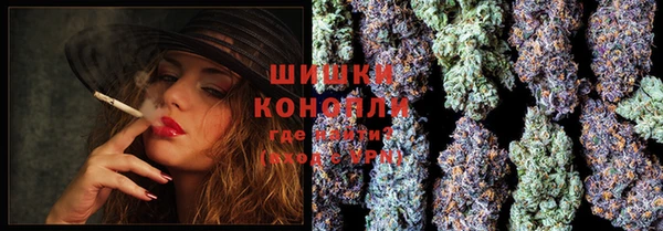 стаф Бронницы