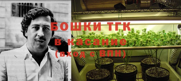 мдма Бородино