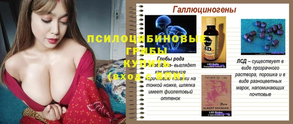 ешки Бугульма