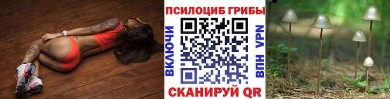 Галлюциногенные грибы MAGIC MUSHROOMS Нижний Тагил